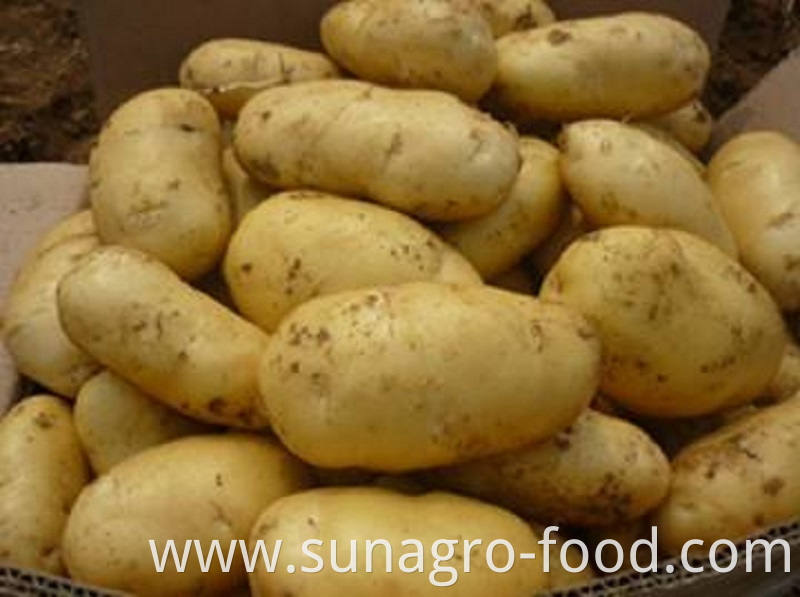 Healthy Big Potatoes